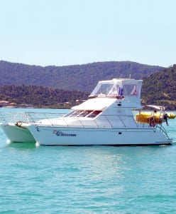 Divocean-Venturer-38-main1