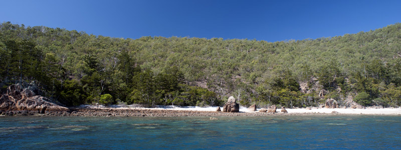 Beach at blue pearl bay