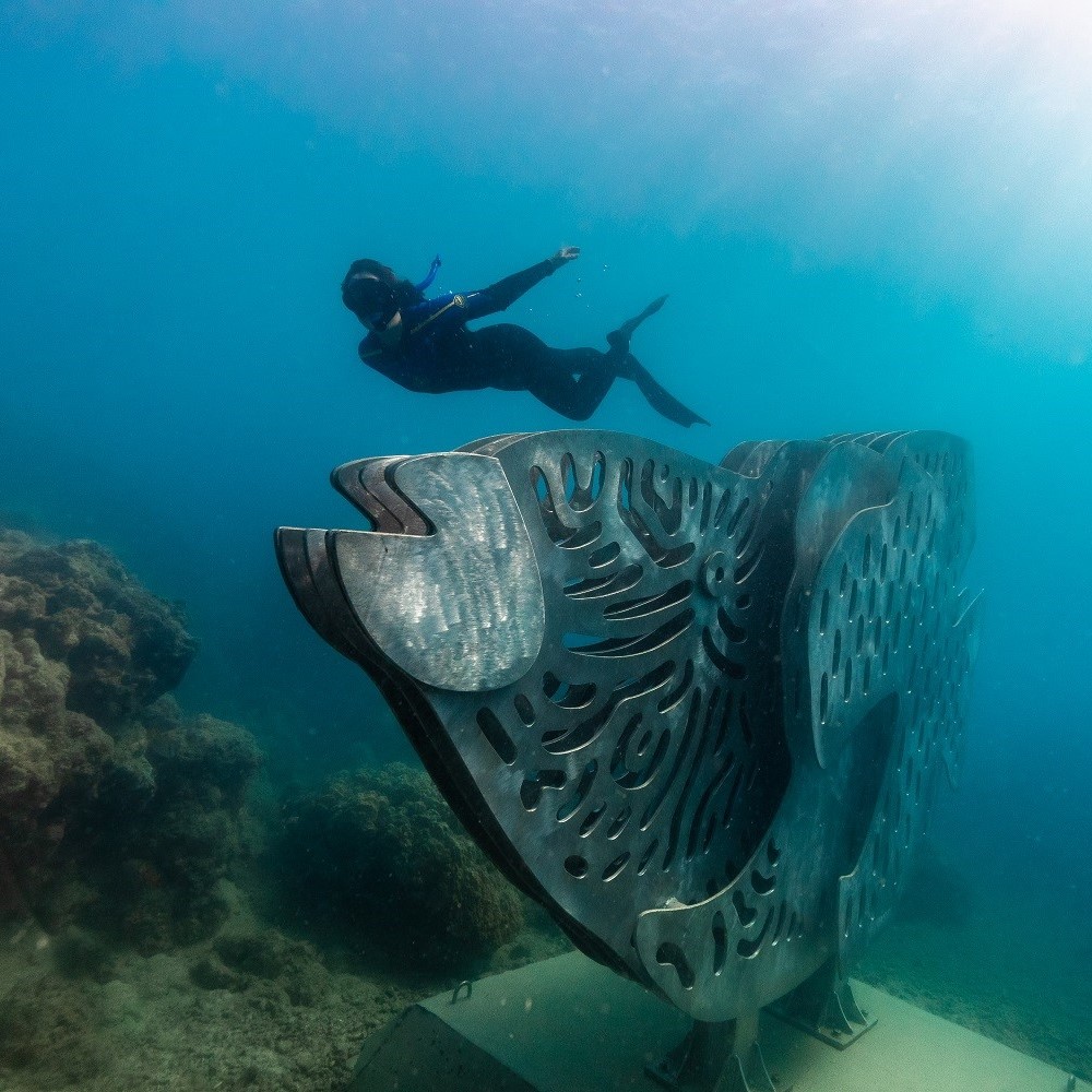 Whitsunday Islands Underwater Artwork Sculptures
