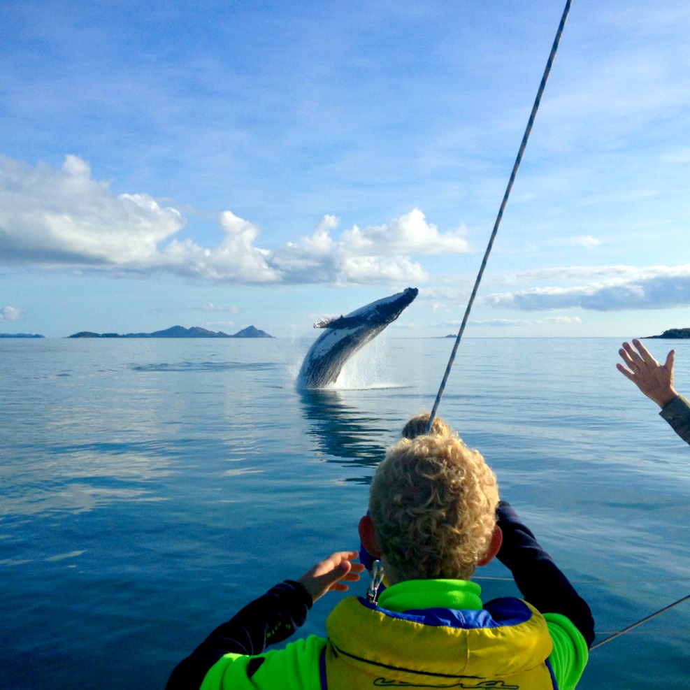 Whales visit Two Keel A