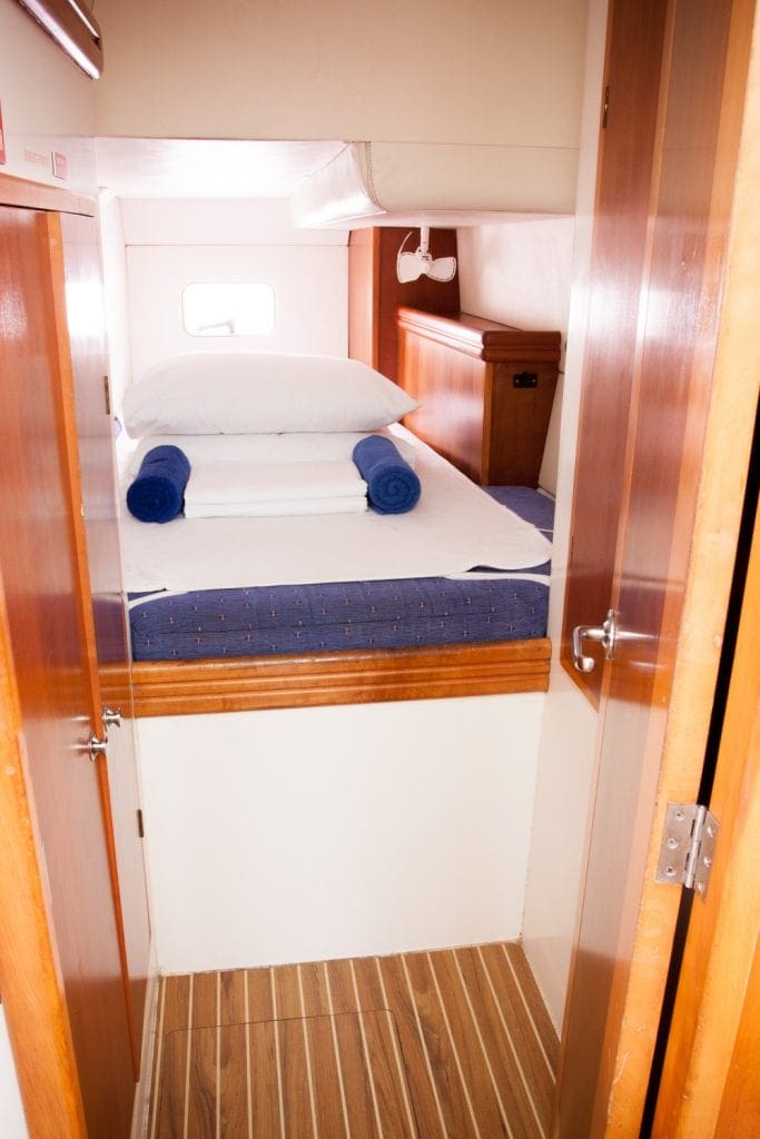 “Divocean” 38 Venturer